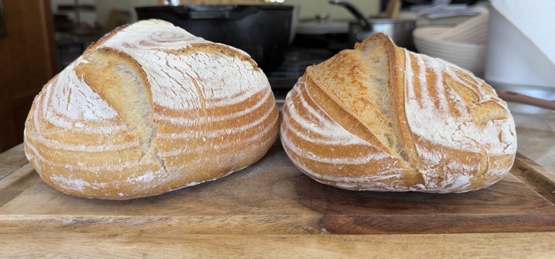 Two freshly baked sourdough loaves side by side on a wooden board